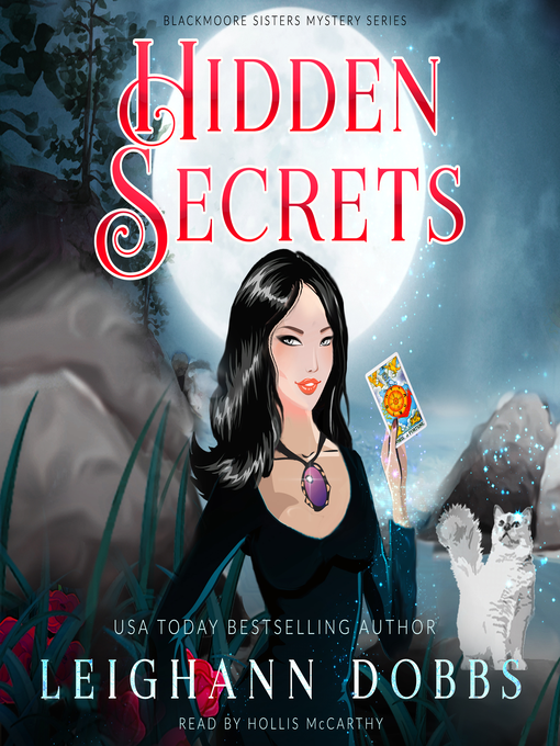 Title details for Hidden Secrets by Leighann Dobbs - Available